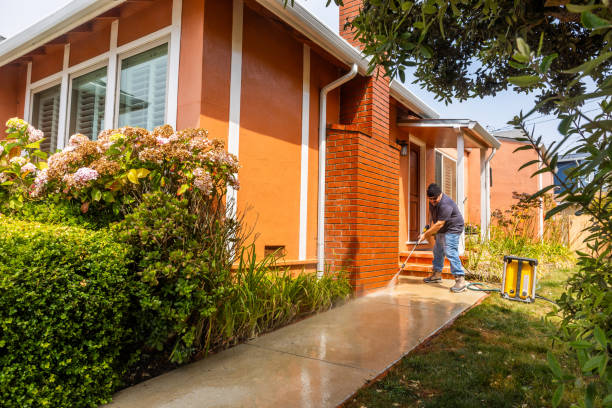 Best Exterior Home Cleaning  in Telluride, CO
