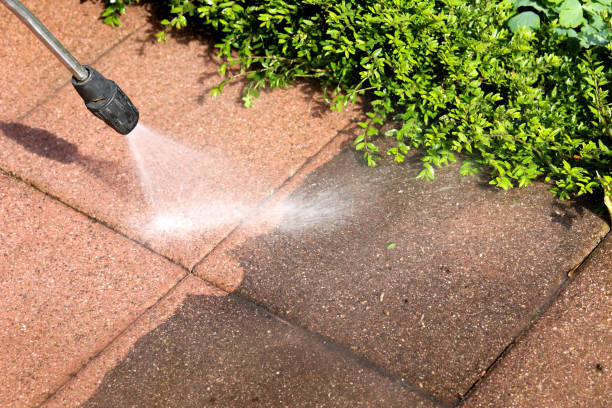 Best Residential Pressure Washing Services  in Telluride, CO
